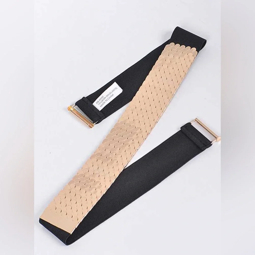 Metal Fashion Statement Belt